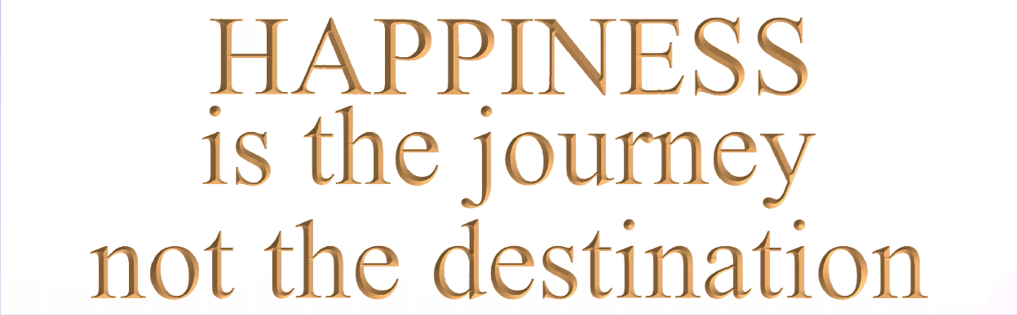 Happiness is the journey not the destination