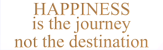 Happiness is the journey not the destination